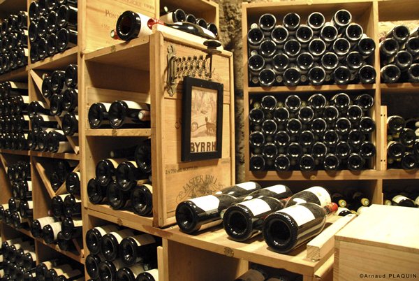 Nhà phân phối Rượu Vang Nghệ An